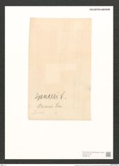 Pleurosigma var. peisonis Grun. (de-Toni-Nr.: Genus 13, Species 1076) Zeichnungen Sammlung Grunow (NHMW-BOT-W0369120)